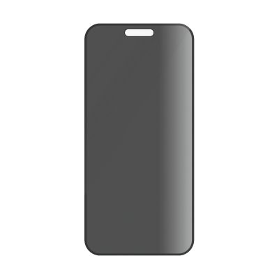 PanzerGlass Screen Protector Ultra Wide Fit - Apple iPhone 16 Pro Max - Black